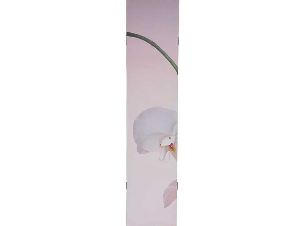 Foto Scherm Bagheria, Orchid