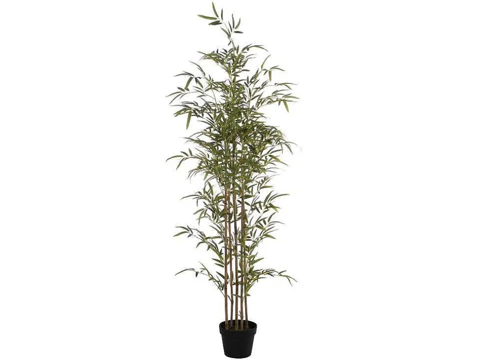 Kunstbamboe Met Natuurlijke Stam - H160 - Mucuri