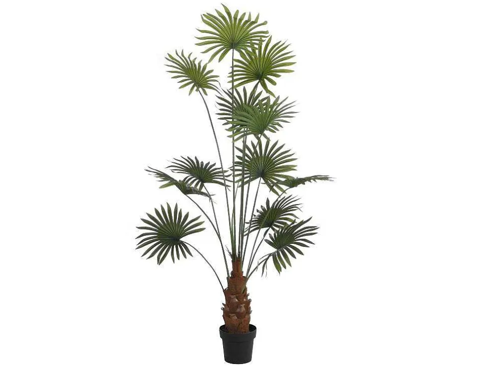 Kunstpalm Met Pot - H180 - Matera