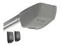 Sectionale Garagedeur Houtdecor Wit Met Somfy Motor - Prieta