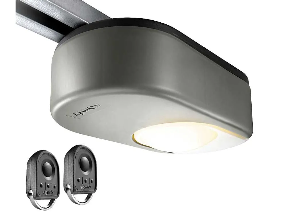 Sectionale Garagedeur Met Glad Effect En Centrale Loopdeur In Antraciet Met Somfy Motor - Lavega