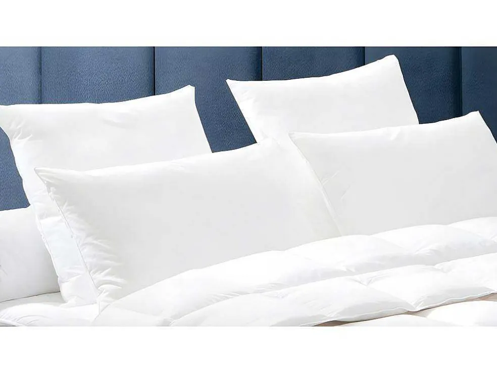 Set 2 Hoofdkussens Dodo Natuurlijke Dons Baffin - 65X65 Cm