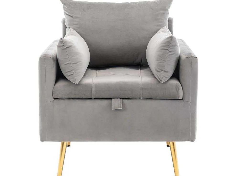 Vipi Fauteuil In Fluwelen Stof Met Opbergruimte En Kussen - Poten Van Goudkleurig Metaal - Grijs
