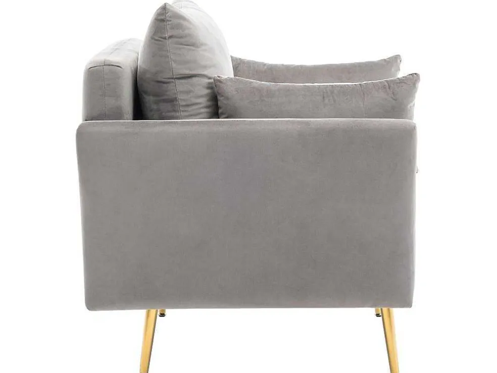 Vipi Fauteuil In Fluwelen Stof Met Opbergruimte En Kussen - Poten Van Goudkleurig Metaal - Grijs