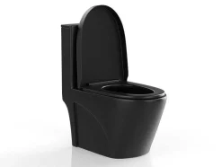 Zwarte Matte Wc Om Te Plaatsen Van Keramiek - Nagilam